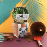 Radis et Capucine - Kit Ail des Ours - Pot en Terre Cuite Antique - 13 cm - MEDIA_EN_SITUATION_1